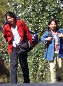 在线视频欧美日韩